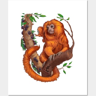 Golden Lion Tamarin Posters and Art